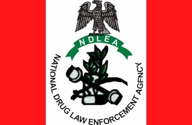 NDLEA Urges Investigators to Intensify Illicit Wealth Recovery