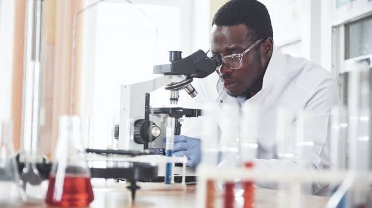 Academics Urge Stronger Research Culture to Advance African Studies