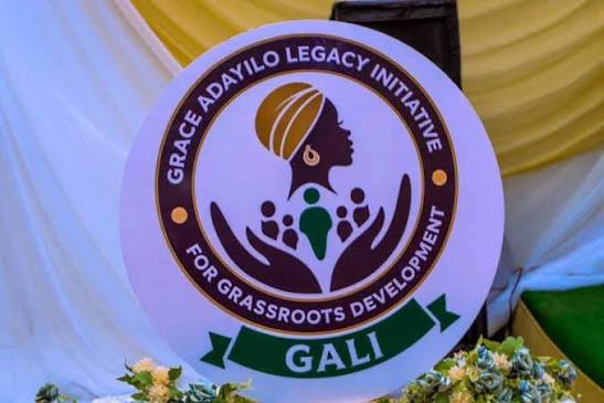 Civil Service: GALI Initiative Honours Late Grace Adayilo 
