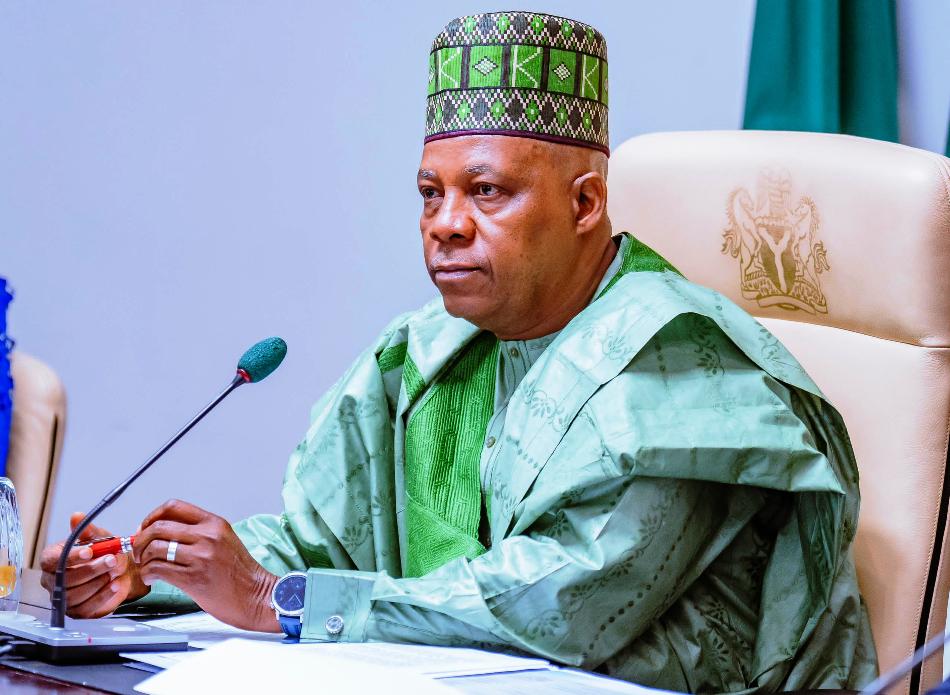 Shettima Backs Healthy Competition Among States