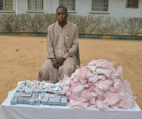 Kano Warns Influential Figures Against Freeing Drug Suspects