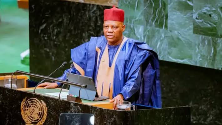 Shettima Decries Africa&rsquo;s Exclusion From UN Security Council