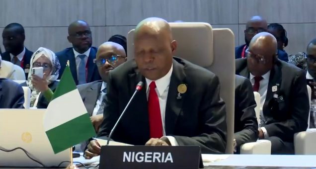 Tinubu Reports South Africa Xenophobic Attacks to African Union