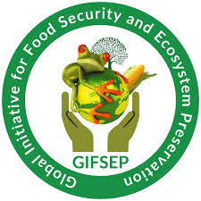 GIFSEP Boss Urges Improved Media Energy Coverage