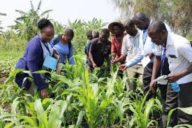 Minister  Advocates Impact-Based Assessment Of Youth Programmes