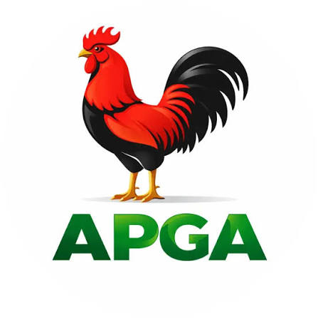 APGA Wins 21 Chairmanship Seats in Anambra Elections