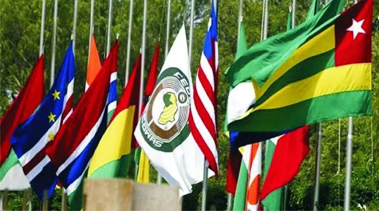 ECOWAS Seeks Gambia&rsquo;s Backing To Resolve ECO Currency Delays