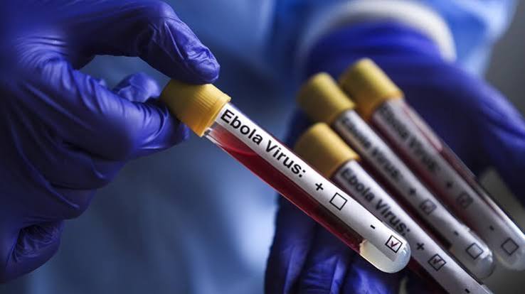 Nigerian Government Confirms Ebola Disease in FCT