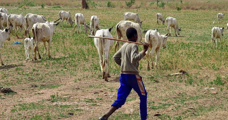 Nigeria Identifies 417 Grazing Reserves Nationwide